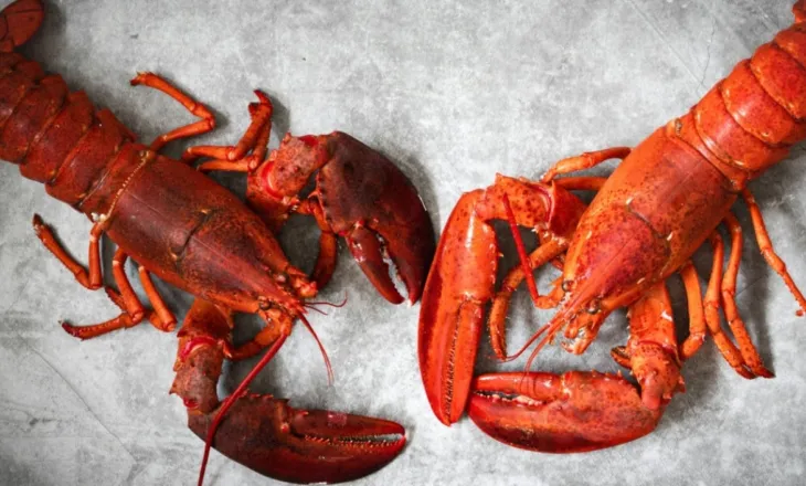 Të destinuara për dyqanet Costco në SHBA, vidhen karavidhe me vlerë 400,000 dollarë