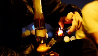 Të rinjtë po eksperimentojnë me produktet e kanabisit