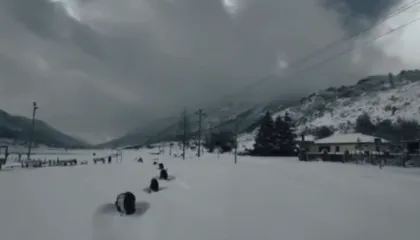 “Terr” në qarkun e Elbasanit si pasojë e motit të keq/ Mbi 1 mijë familje pa energji elektrike