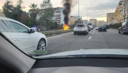 Tiranë/ Merr flakë një makinë pranë Kopshtit Botanik