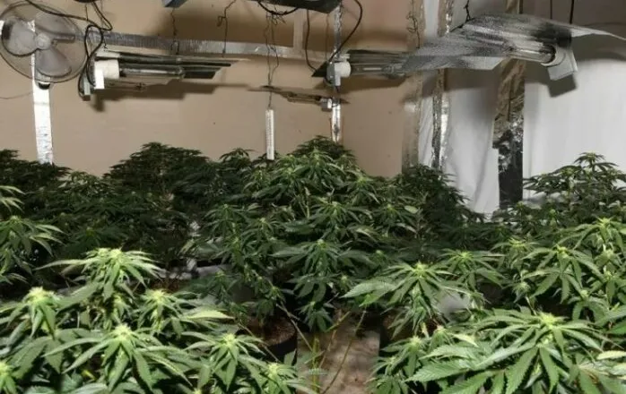 Tjetër “shtëpi bari” në Sarandë/ Apartamenti në një pallat ishte përshtatur për kultivimin e kanabisi