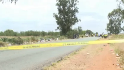 Tragjedi në Afrikën e Jugut/ Autobusi i shkollës parakaloi në mënyrë të gabuar duke u përplasur me një kamion, humbin jetën 13 fëmijë