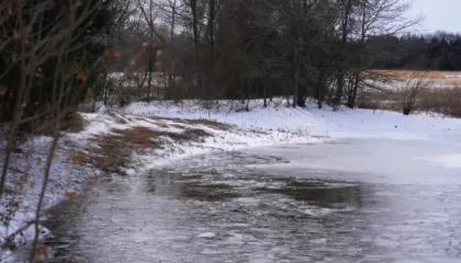 Tragjedi në Teksas, tre vëllezër të mitur humbin jetën për shkak të motit të keq, ranë në një pellg të akullt