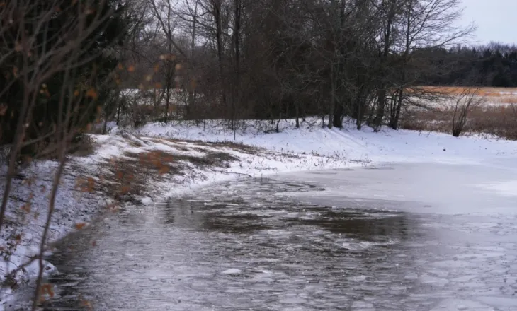 Tragjedi në Teksas, tre vëllezër të mitur humbin jetën për shkak të motit të keq, ranë në një pellg të akullt
