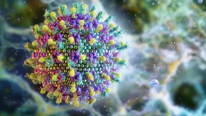 Transmetohet nga lakuriqët e natës ose frutat e infektuara/ A rrezikon virusi “Nipah” të kthehet në pandemi? Flet OBSH