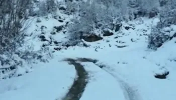 Tre persona të bllokuar prej orësh në malet e Gramshit, banorët e zonës dhe zjarrfikësit nisen për t’i gjetur