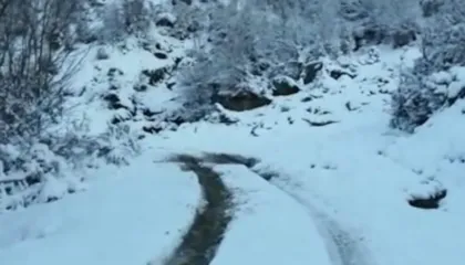 Tre persona të bllokuar prej orësh në malet e Gramshit, banorët e zonës dhe zjarrfikësit nisen për t’i gjetur