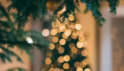 Tri fatlumet e muajit/ Zbuloni shenjat e zodiakut që do përmbushin premtimet e tyre të Vitit të Ri