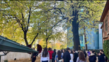 Turizmi në 2025/ Kryesojnë shqiptarët e Kosovës. Më pak italianë, më shumë gjermanë e francezë