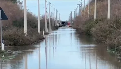 U denoncuan si të zhdukur, gjenden dy barinjtë në Fier, ja çfarë ndodhi me ta
