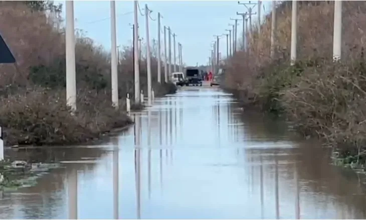 U denoncuan si të zhdukur, gjenden dy barinjtë në Fier, ja çfarë ndodhi me ta