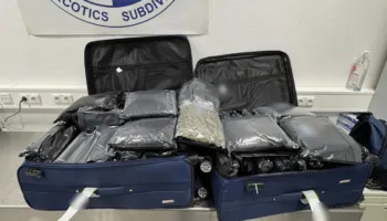 U kapën me 72 kilogramë kanabis në valixhet e tyre/ Arrestohen 3 gra amerikane në Greqi, ja destinacioni i drogës