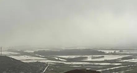 U rrezikohej jeta nga shkarjet e dheut dhe përmbytjet, evakuohen 5 familje në zonën e Pogradecit