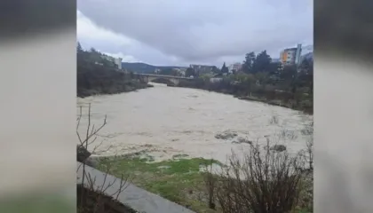 Ulet niveli i Vjosës, por ka ende prani të ujit në disa banesa në Novoselë e Bishan