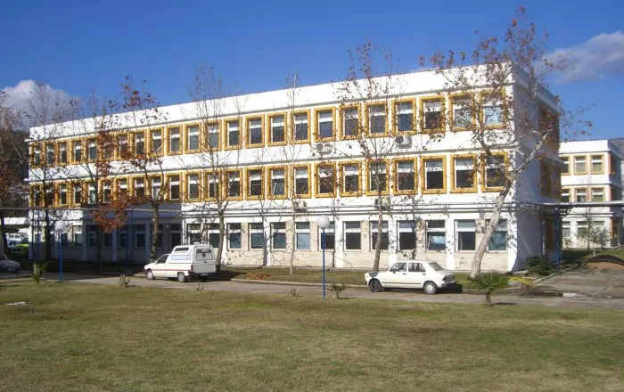 Urgjenca e Sarandës nën presion/ 55 persona të lënduar nga fishekzjarrët dhe pirja e tepruar