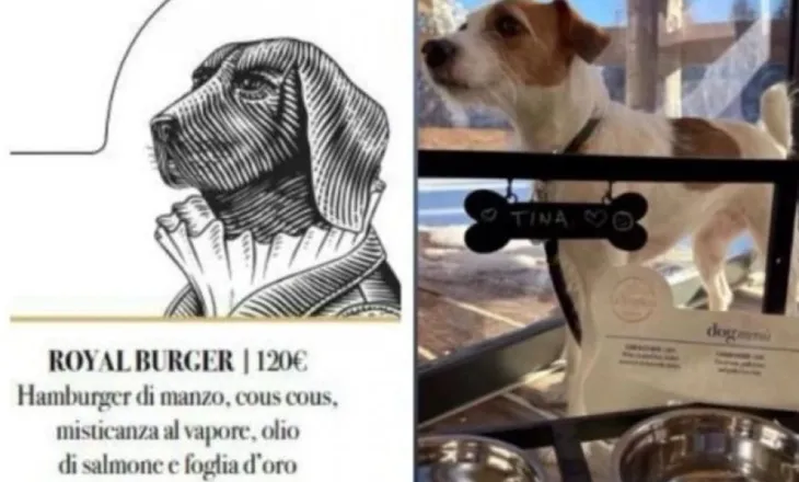 Ushqime me fletë ari/ Menu e pazakontë gourmet për qentë në prag të Olimpiadës Dimërore