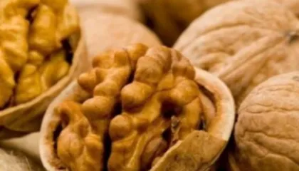 Ushqimet e shëndetshme që duhet t’i shtoni në dietën tuaj