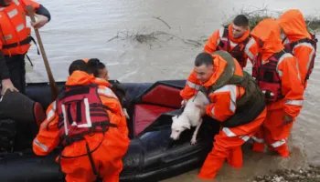 Ushtria në Fier për evakuimin e banorëve dhe gjësë së gjallë në fshatin Ferras