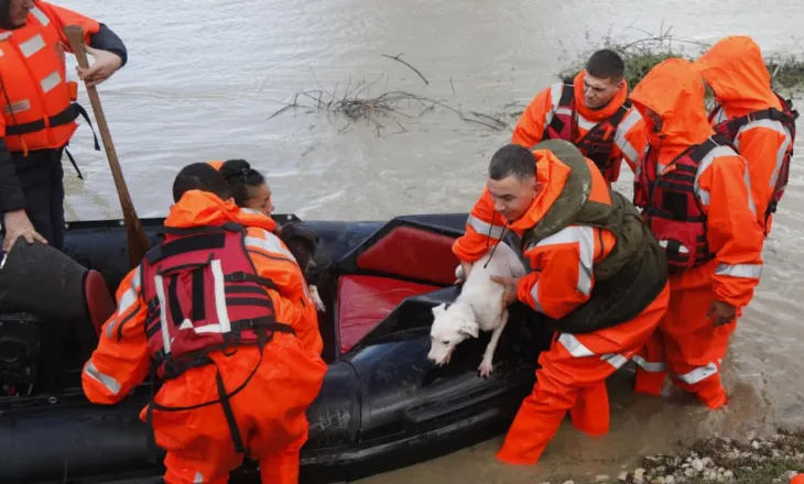 Ushtria në Fier për evakuimin e banorëve dhe gjësë së gjallë në fshatin Ferras