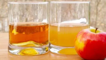 Uthulla e mollës bio, vlerat në shëndet dhe hapat se si ta dalloni nga uthulla e zakonshme