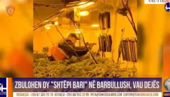 VIDEO – Zbulohen dy “shtëpi bari” në Barbullush, 1 i arrestuar, 3 të ndaluar dhe 4 në kërkim…