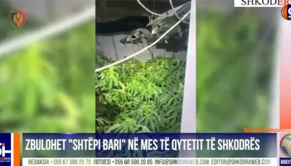 VIDEO – Zbulohet “shtëpi bari” në mes të qytetit të Shkodrës, shpallen në kërkim dy autorët e dyshuar…