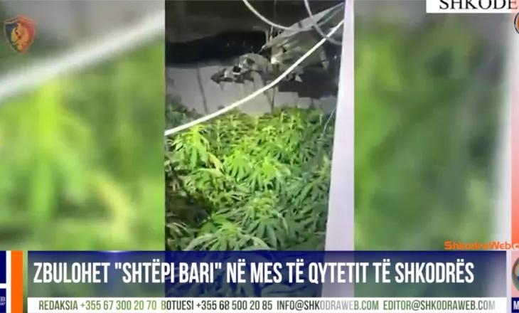 VIDEO – Zbulohet “shtëpi bari” në mes të qytetit të Shkodrës, shpallen në kërkim dy autorët e dyshuar…