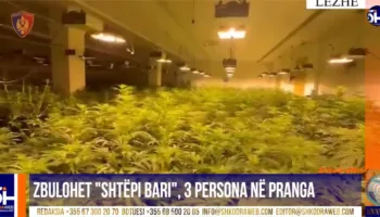 VIDEO – Zbulohet tjetër “shtëpi bari”, arrestohen tre persona, mes tyre babë e bir, telashe dhe për OSHEE