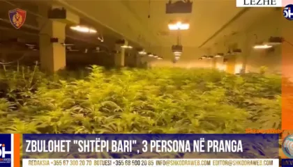 VIDEO – Zbulohet tjetër “shtëpi bari”, arrestohen tre persona, mes tyre babë e bir, telashe dhe për OSHEE