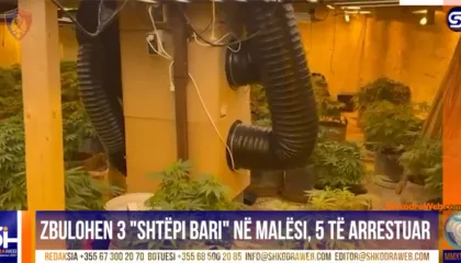 VIDEO+EMRAT – Zbulohen “shtëpi bari” në Boriç të Malësisë së Madhe, 5 të arrestuar, 4 punonjës të OSHEE…