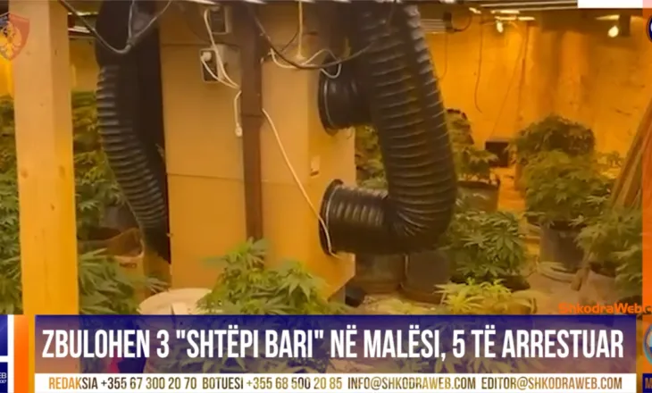 VIDEO+EMRAT – Zbulohen “shtëpi bari” në Boriç të Malësisë së Madhe, 5 të arrestuar, 4 punonjës të OSHEE…