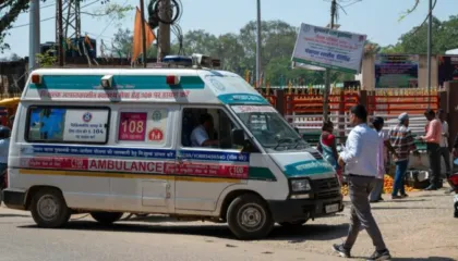 Virus i ri në qarkullim, OBSH: Transmetohet te njerëzit nga lakuriqët e natës të infektuar