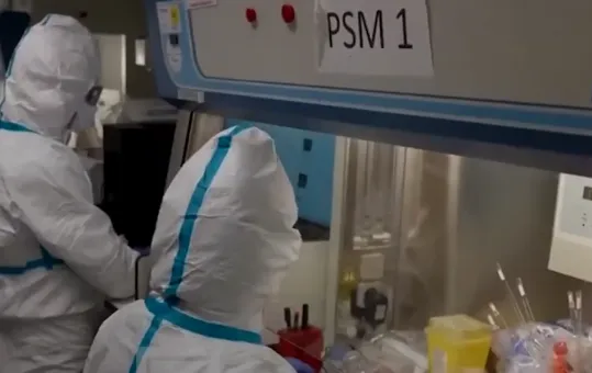 Virusi ‘Nipah’ jo rrezik imediat për Shqipërinë, Bino: Nuk përhapet nga ajri