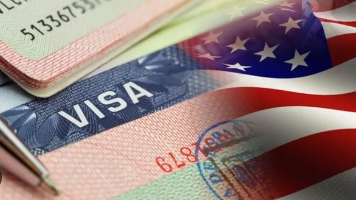 Viza e emigrimit të fituara nga shtetasit e Kosovës dhe Shqipërisë ndër vite