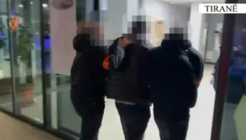 Vjedhje, falsifikim dhe dhunë në familje, 5 të arrestuar në Tiranë