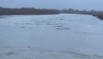 Vjosa del nga shtrati, përmbyten shtëpi e toka bujqësore. 27 familje të rrethuara nga uji në Ferras