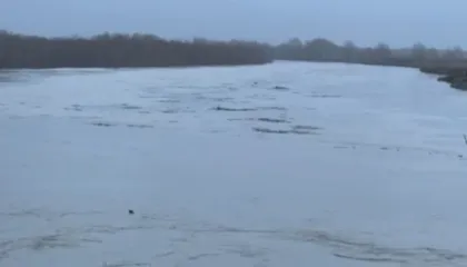 Vjosa del nga shtrati, përmbyten shtëpi e toka bujqësore. 27 familje të rrethuara nga uji në Ferras