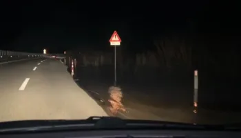 Vjosa doli nga shtrati, uji hyn edhe në autostradën Vlorë-Levan