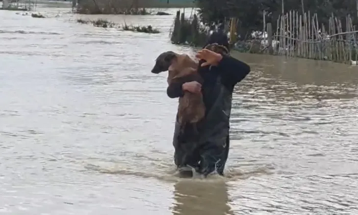 Vjosa në kuotën e 9 metrave: Nesër parashikohet stuhi, shpresa e vetme janë uljet e prurjeve
