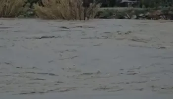 Vjosa në pikën kritike, rritet frika nga përmbytjet në Novoselë