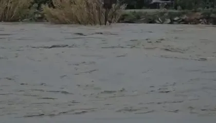 Vjosa në pikën kritike