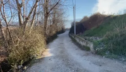 Vrau 57-vjeçarin me çekiç në Thumanë/ Arrestohet autori, në pranga dhe dy persona të tjerë