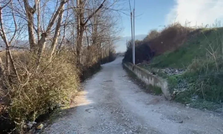 Vrau 57-vjeçarin me çekiç në Thumanë/ Arrestohet autori, në pranga dhe dy persona të tjerë