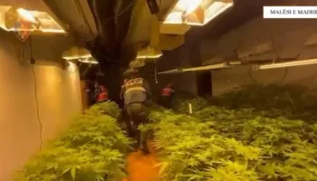 Zbulohen “shtëpi bari” në Malësi të Madhe, arrestohet 35-vjeçari