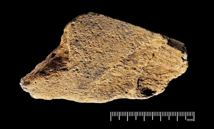 Zbulohet mjeti më i vjetër prej kocke elefanti në Europë