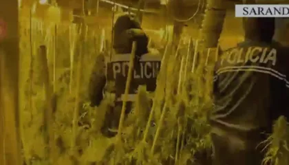 Zbulohet në Sarandë një laborator kanabisi, arrestohet administratori i pallatit