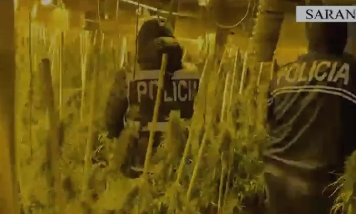 Zbulohet në Sarandë një laborator kanabisi, arrestohet administratori i pallatit