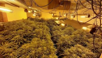 Zbulohet një tjetër shtëpi bari në Sarandë