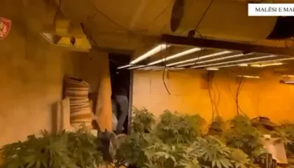 Zbulohet “shtëpi bari” në Malësi të Madhe, arrestohet 35-vjeçari dhe ndalohen 4 punonjës të OSHEE (EMRAT)