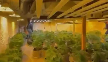 Zbulohet ‘shtëpia e barit’ në Malësi të Madhe, vihet në pranga një 35-vjeçar, ndalohen 4 punonjës të OSHEE